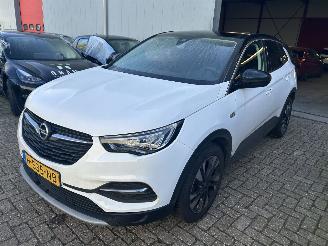 danneggiata macchinari Opel Grandland X  1.2 Turbo Business Executive 2020/3